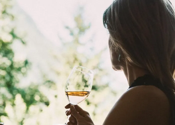 ホテル Arzlerhof アルツル・イム・ピッツタール