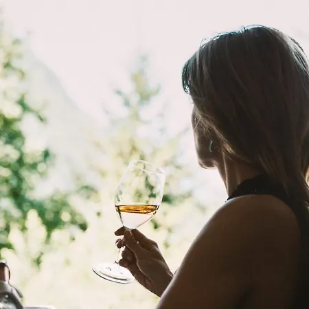 מלון Arzlerhof ארצל אים פלאצטל